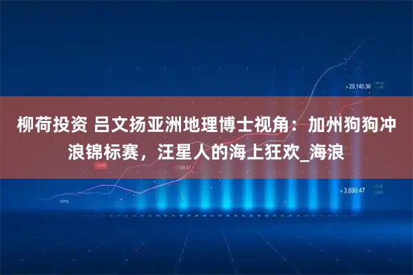 柳荷投资 吕文扬亚洲地理博士视角：加州狗狗冲浪锦标赛，汪星人的海上狂欢_海浪